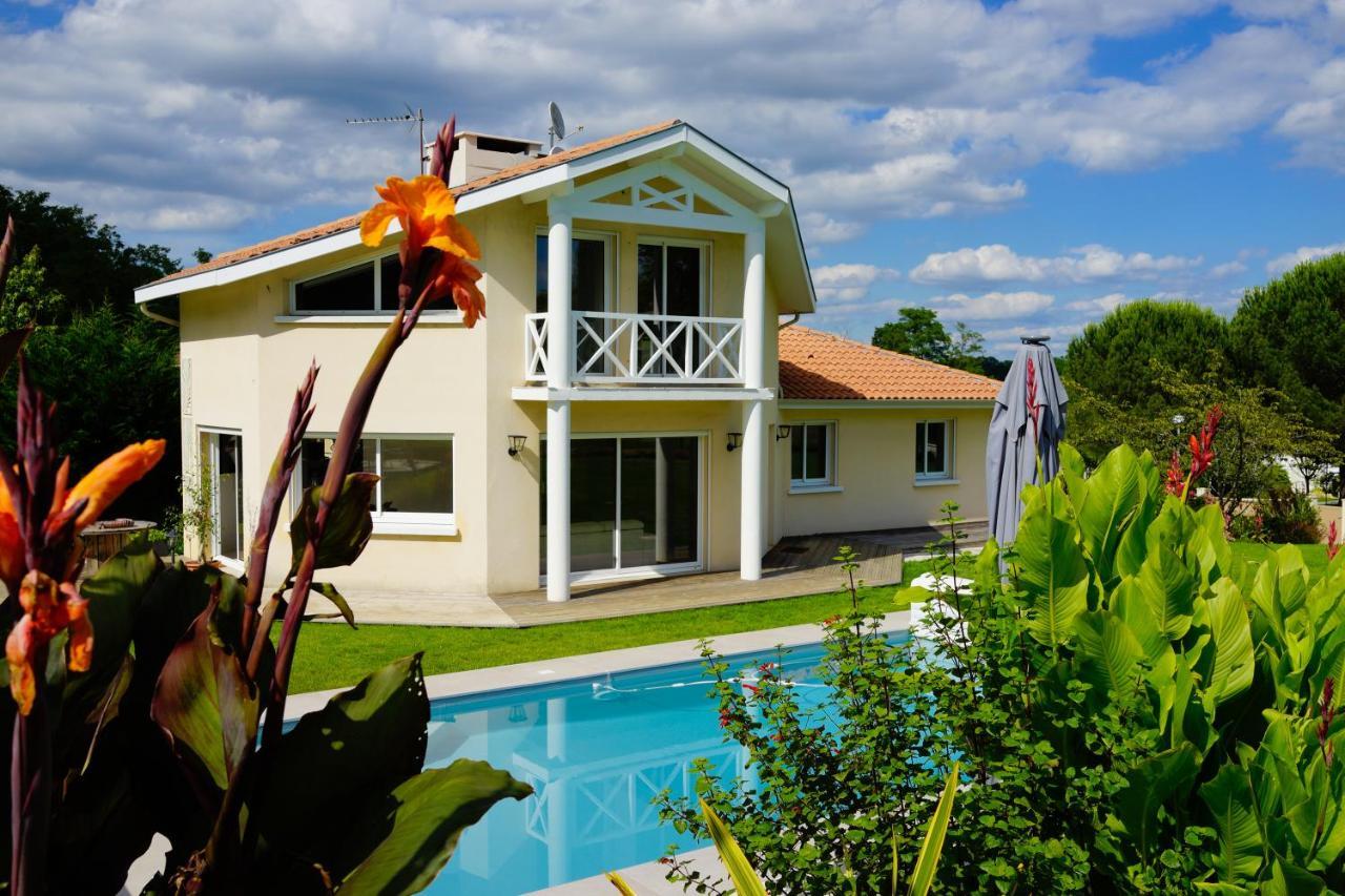 Villa Alba. Piscine Grand Jardin Hauts De Bordeaux Carignan-de-Bordeaux Екстер'єр фото